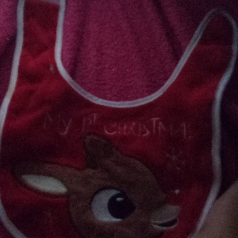 Baby bib